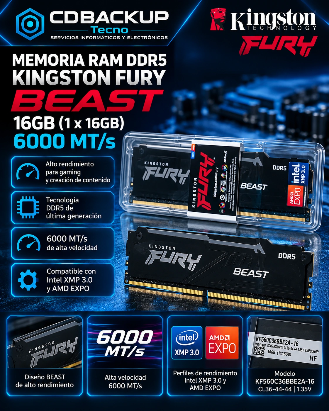 Memoria RAM Kingston FURY Beast DDR5 16GB 6000MHz CL36 – AMD EXPO / Intel XMP